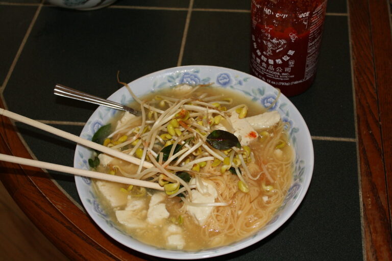 Bowl of Vietnamese pho noodle soup with fresh herbs